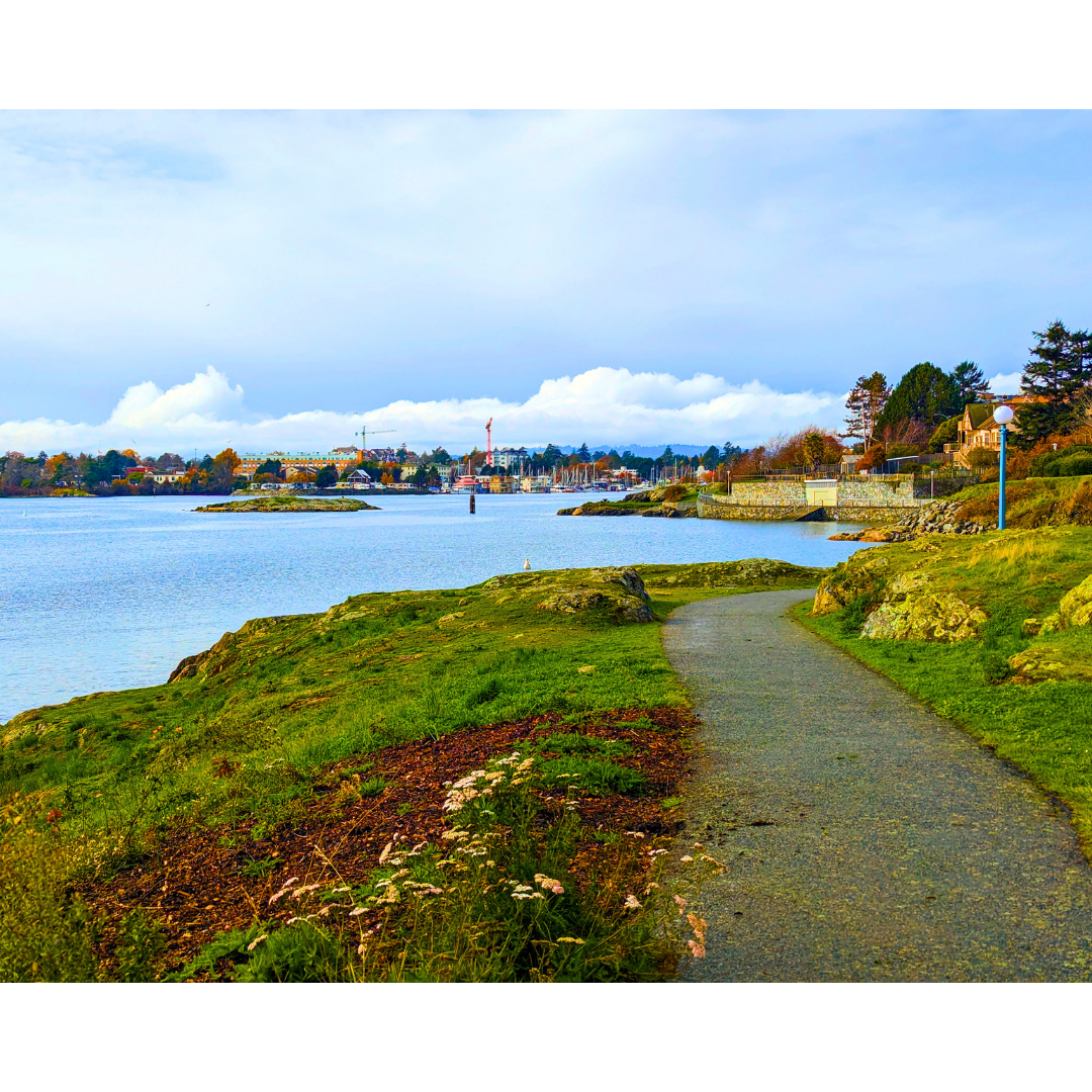 The Headland Promenade