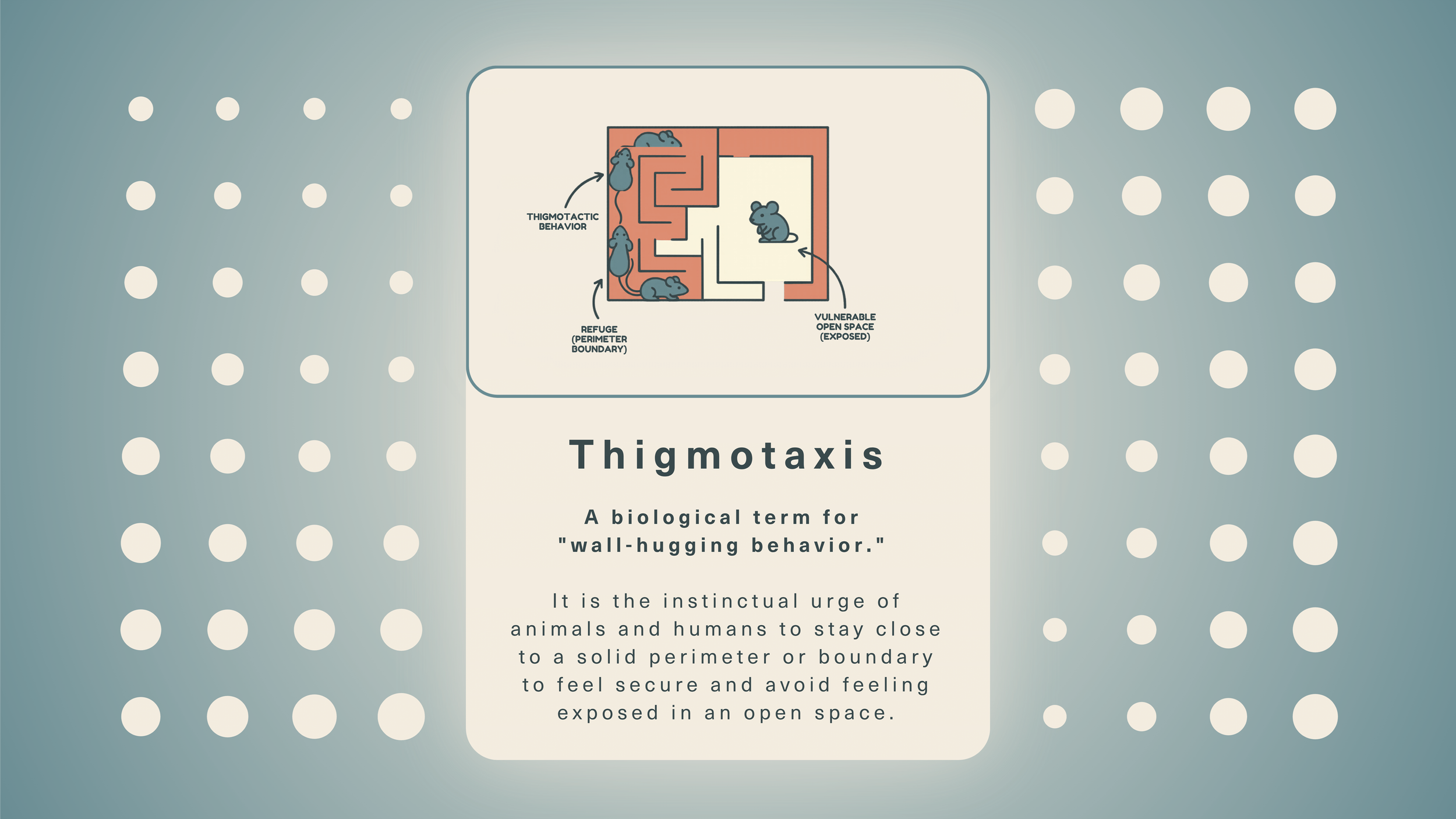 New Dictionary Visual: Thigmotaxis