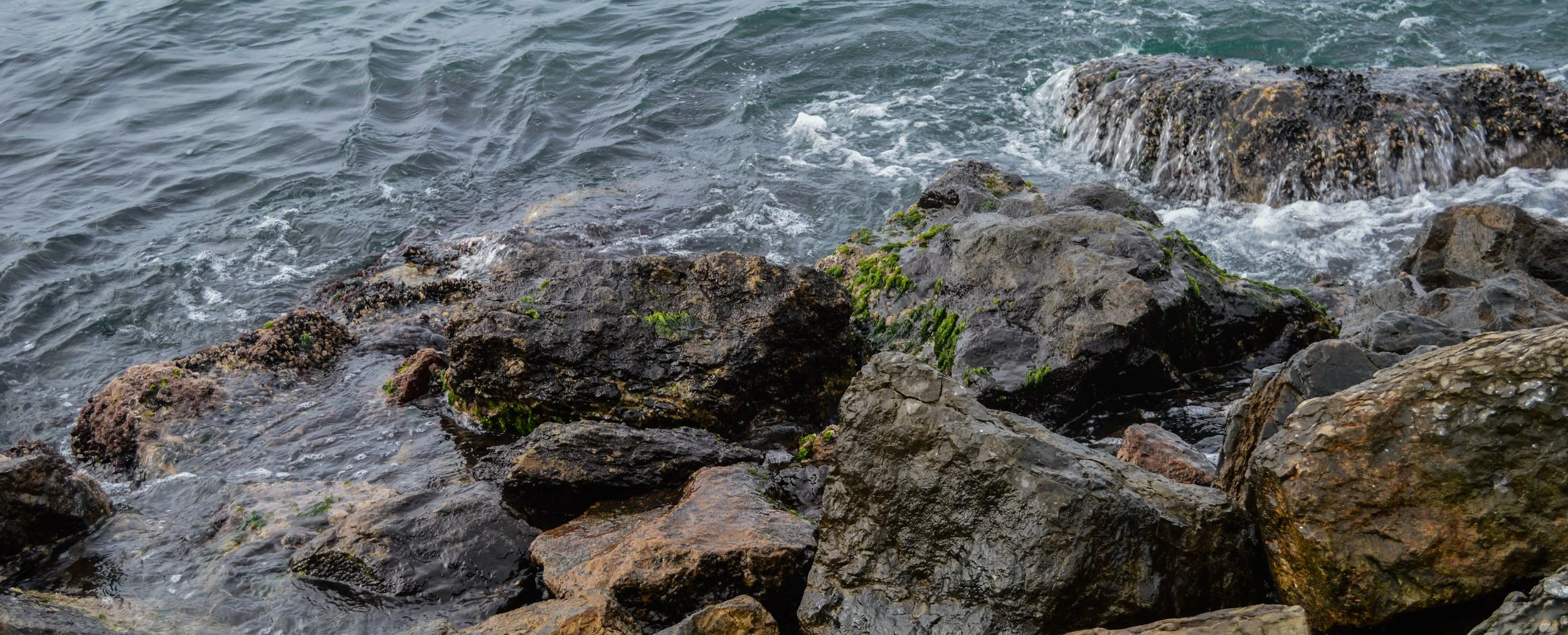 Rocky shoreline with water splashing over rocks covered in green algae and barnacles.
