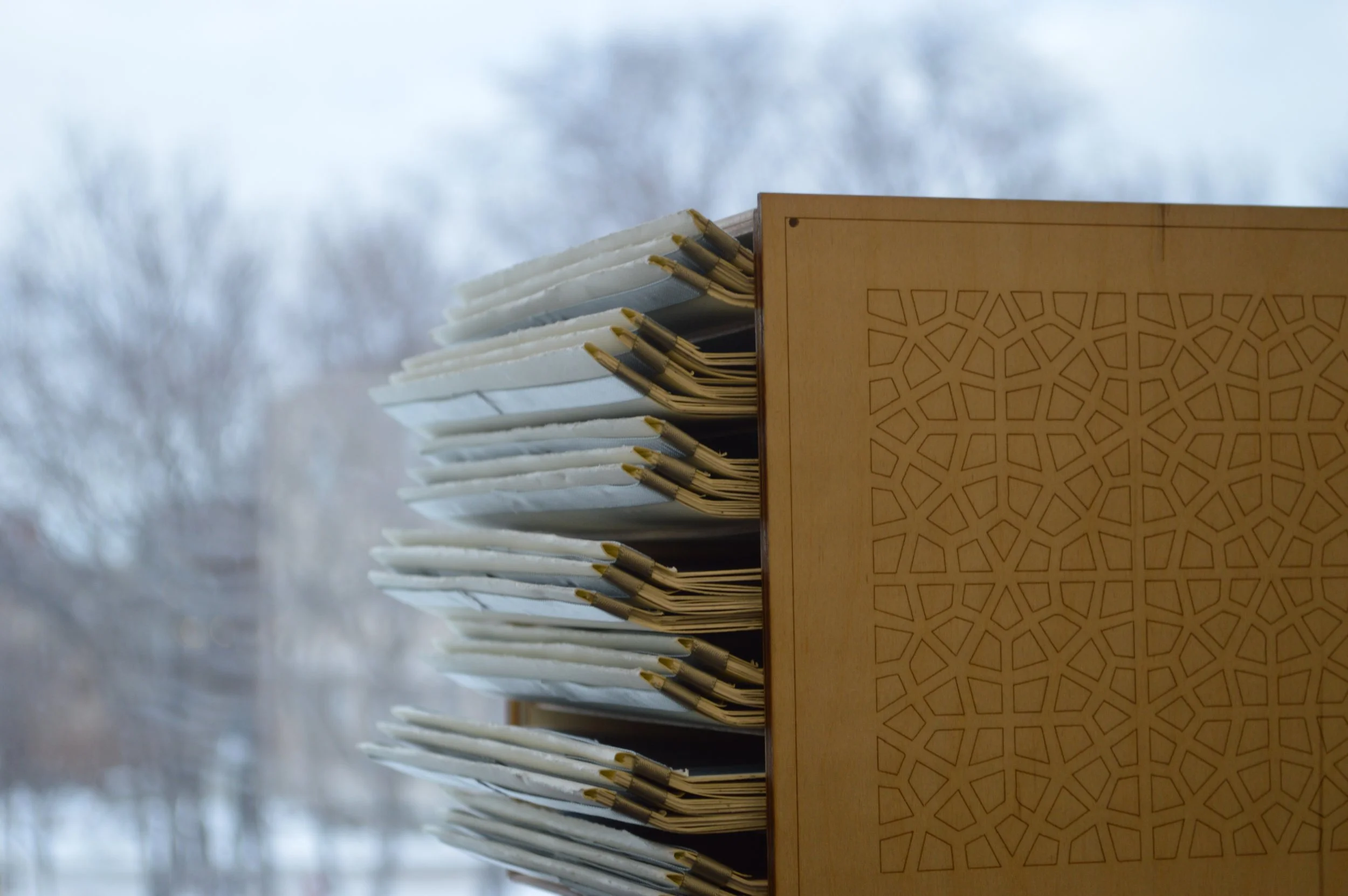 Close-up of a wooden bookshelf with intricate geometric patterns on its side, filled with an assortment of documents or notebooks stacked and leaning against each other. The background shows a blurred outdoor scene with leafless trees and cloudy sky.
