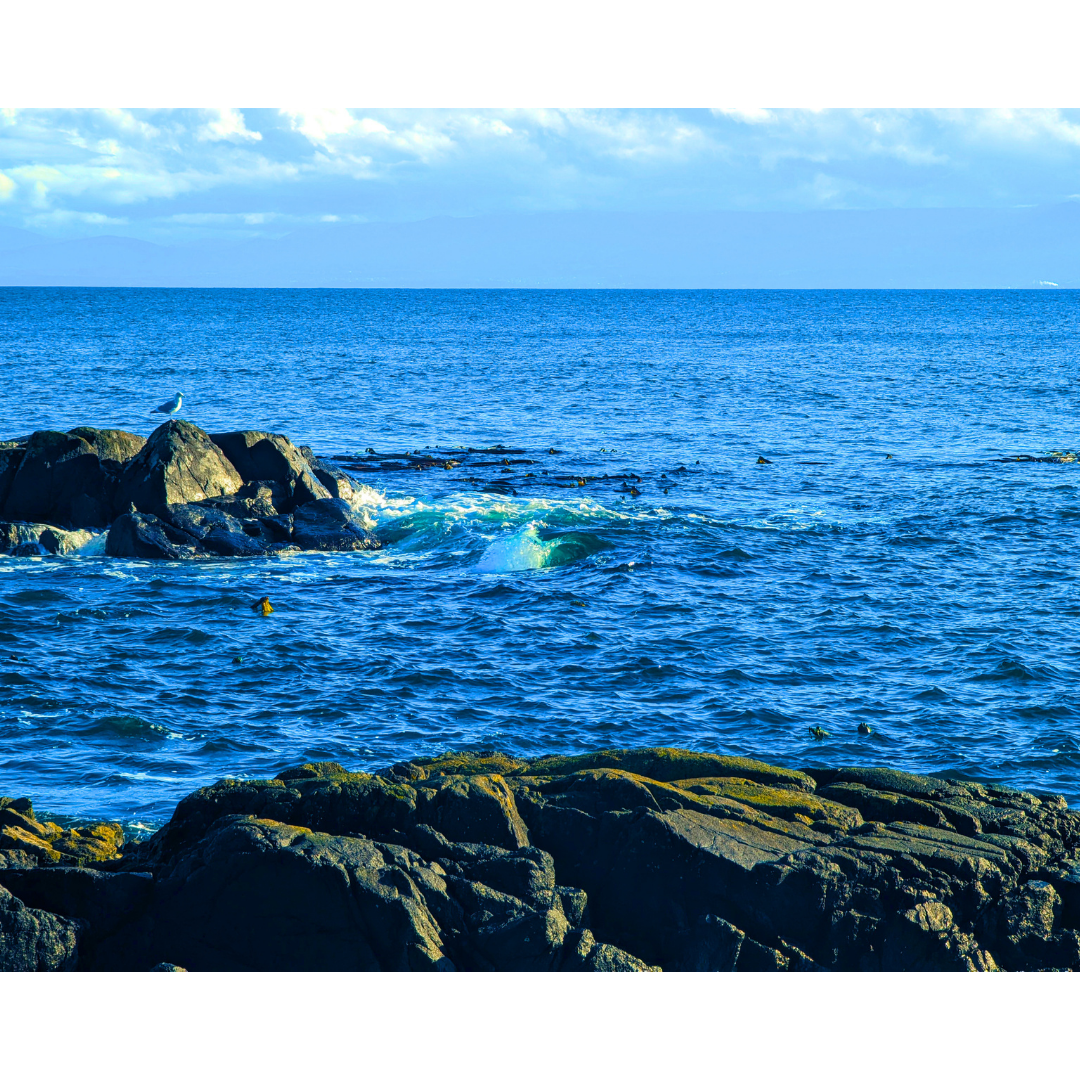 The Basalt Ledge