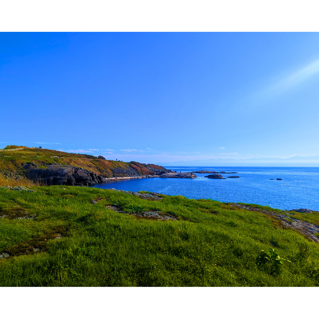 Coastal Bluff and Azure Waters
