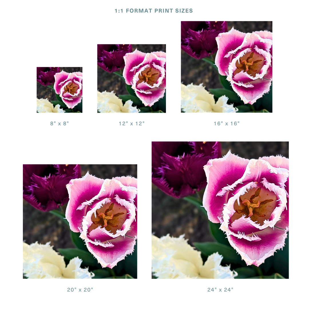 Store 1_1.png