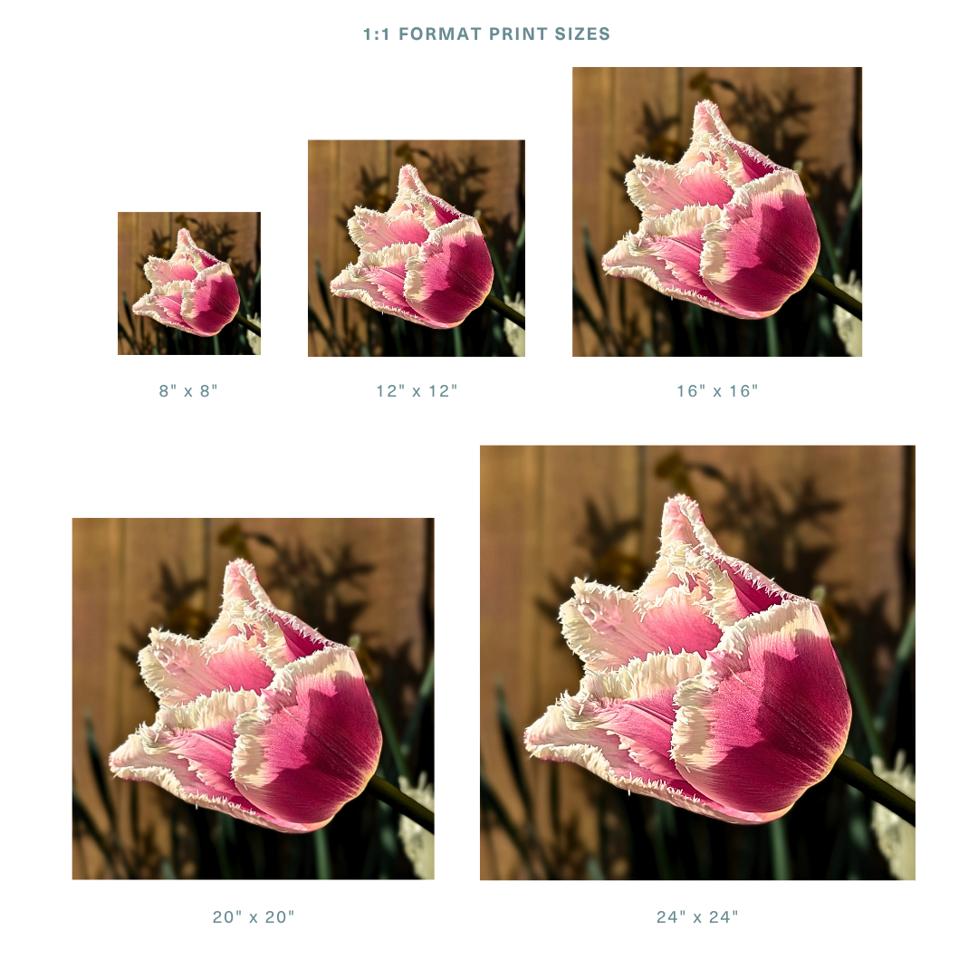 Formats 1.png
