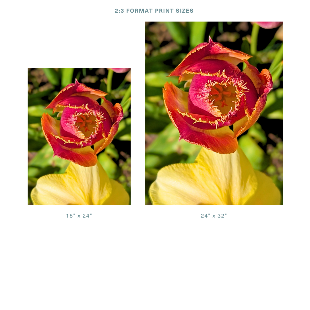 15.png