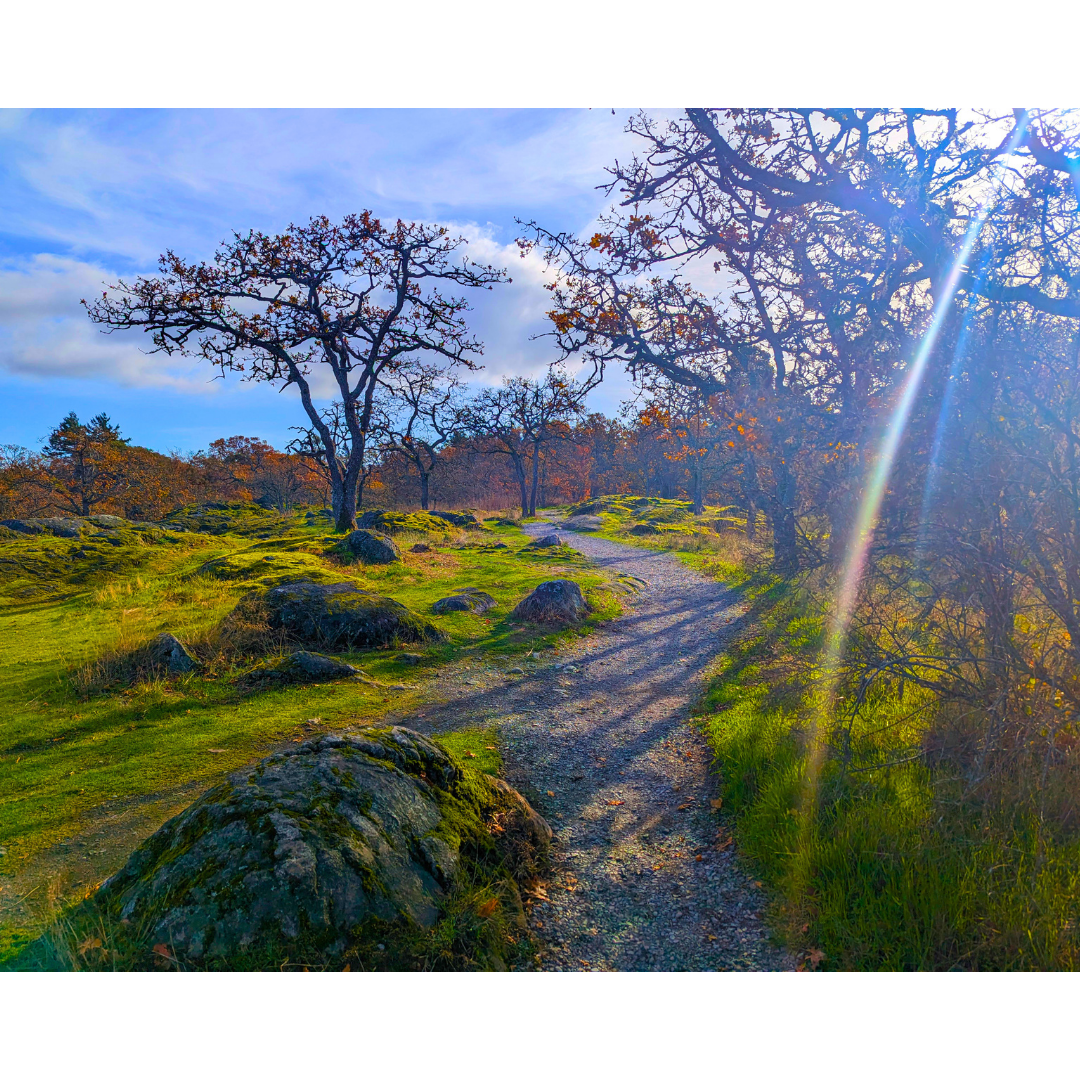 The Oak Knoll