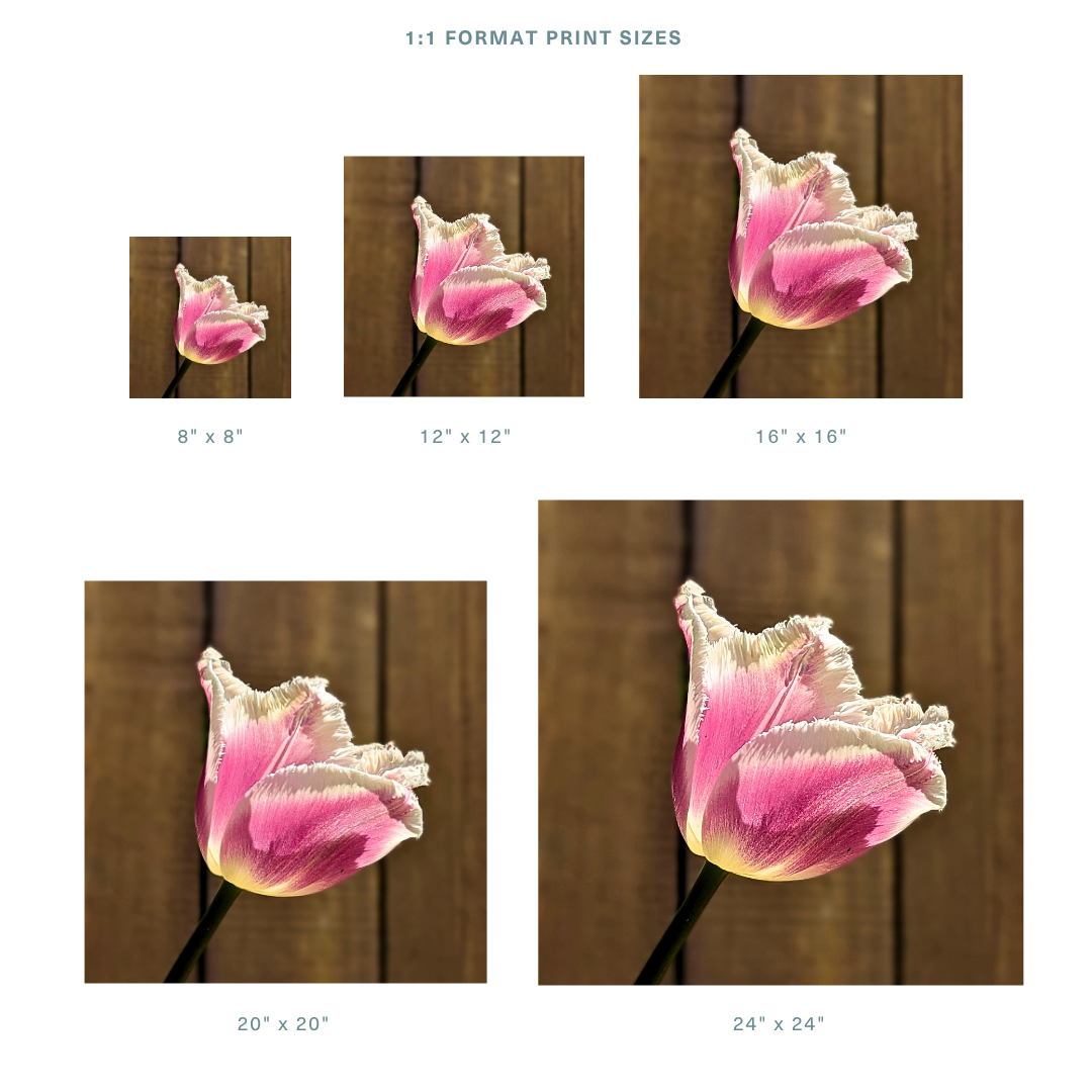 Store 1_1.png
