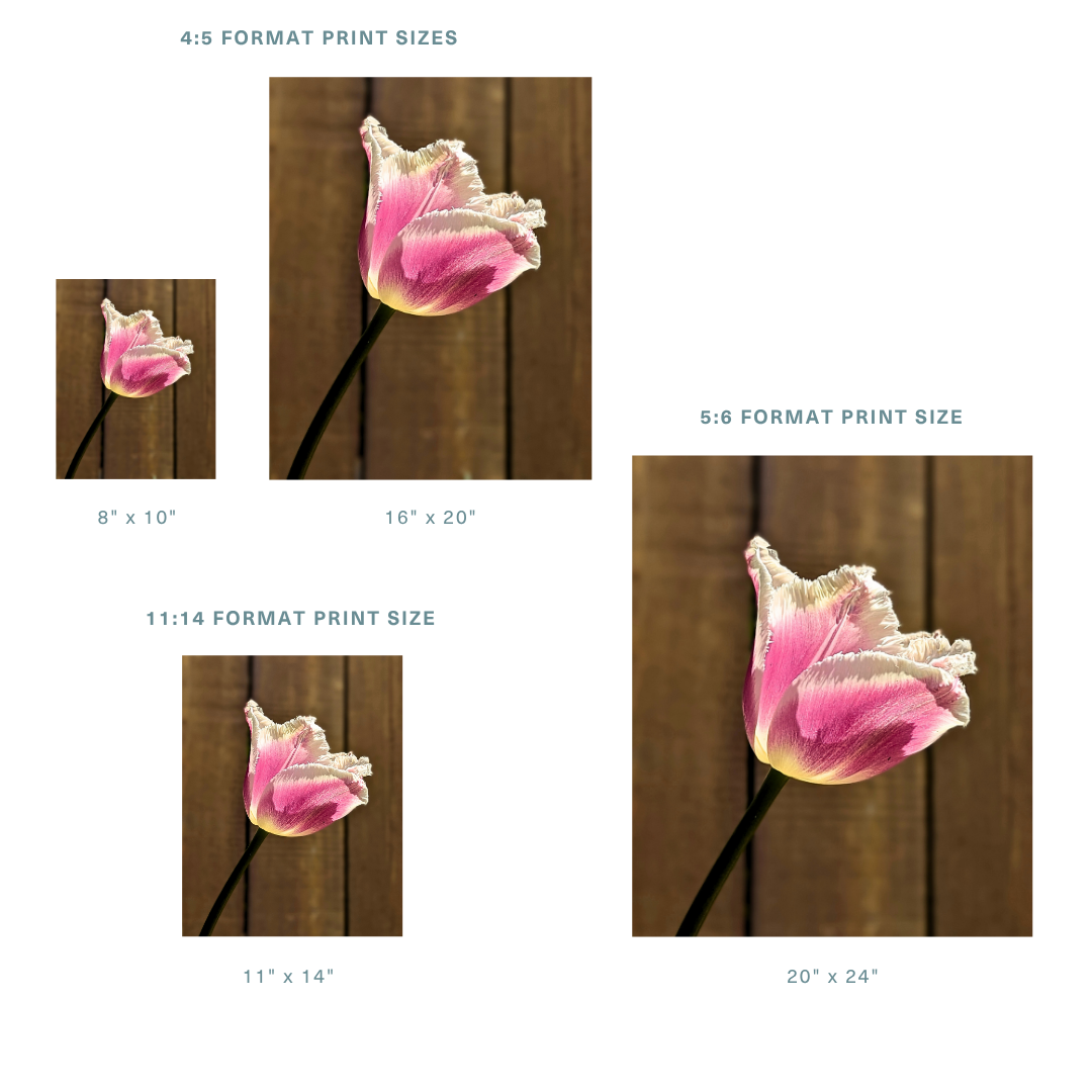 Store Other.png