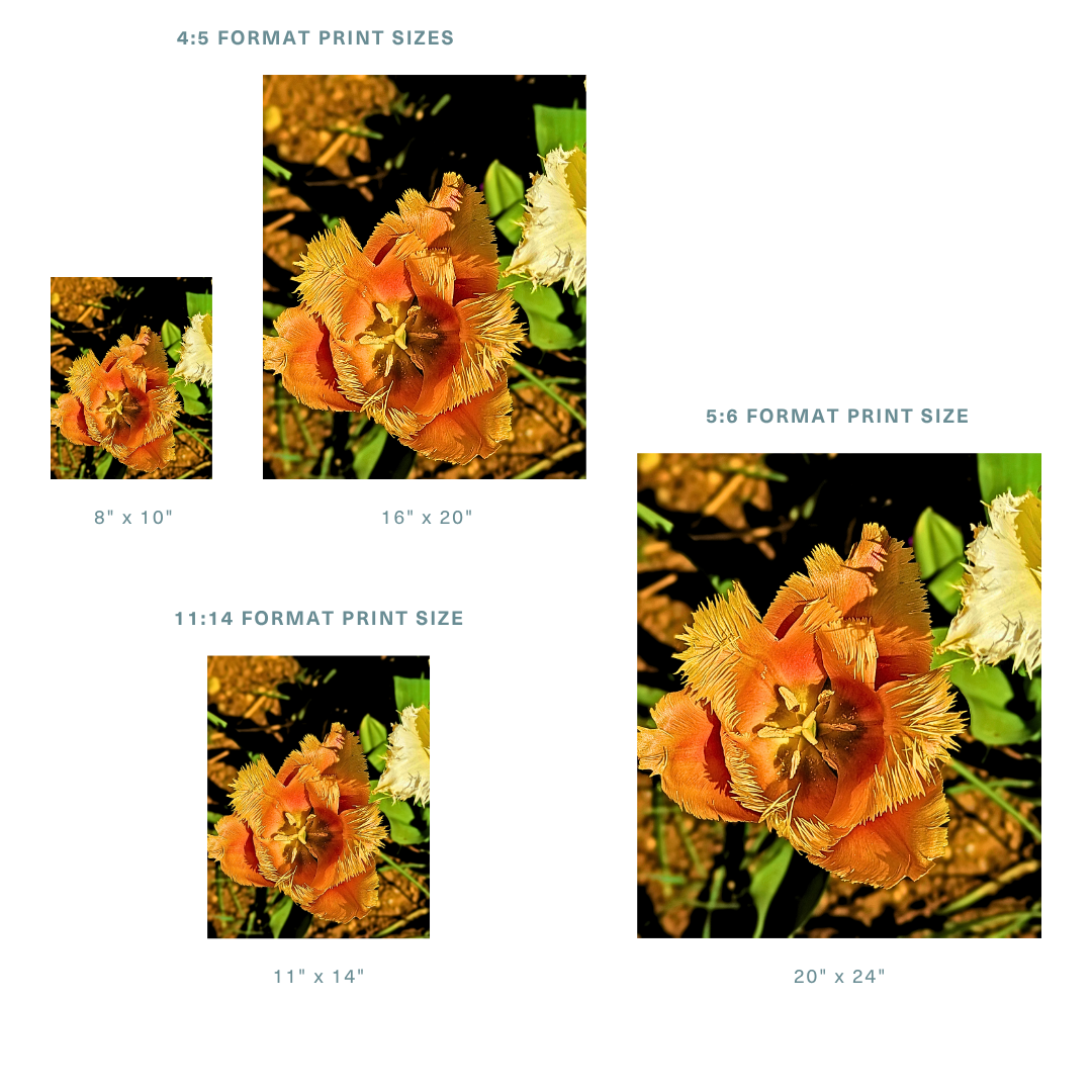 Formats 3.png