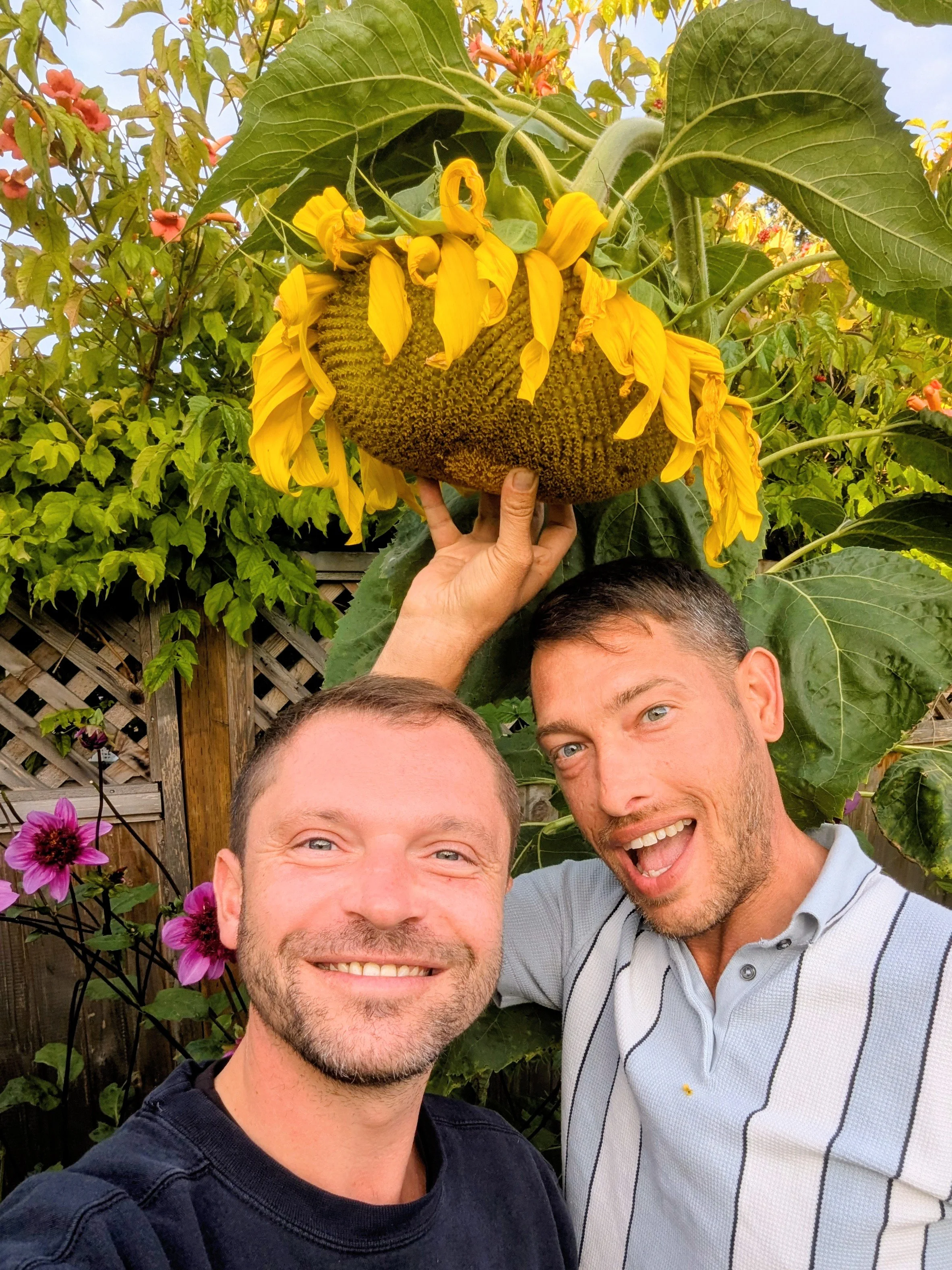 Erns and David taking a selfie in a garden with lavender and pink flowers. Behind them, large sunflower heads are visible, with yellow petals and green leaves.