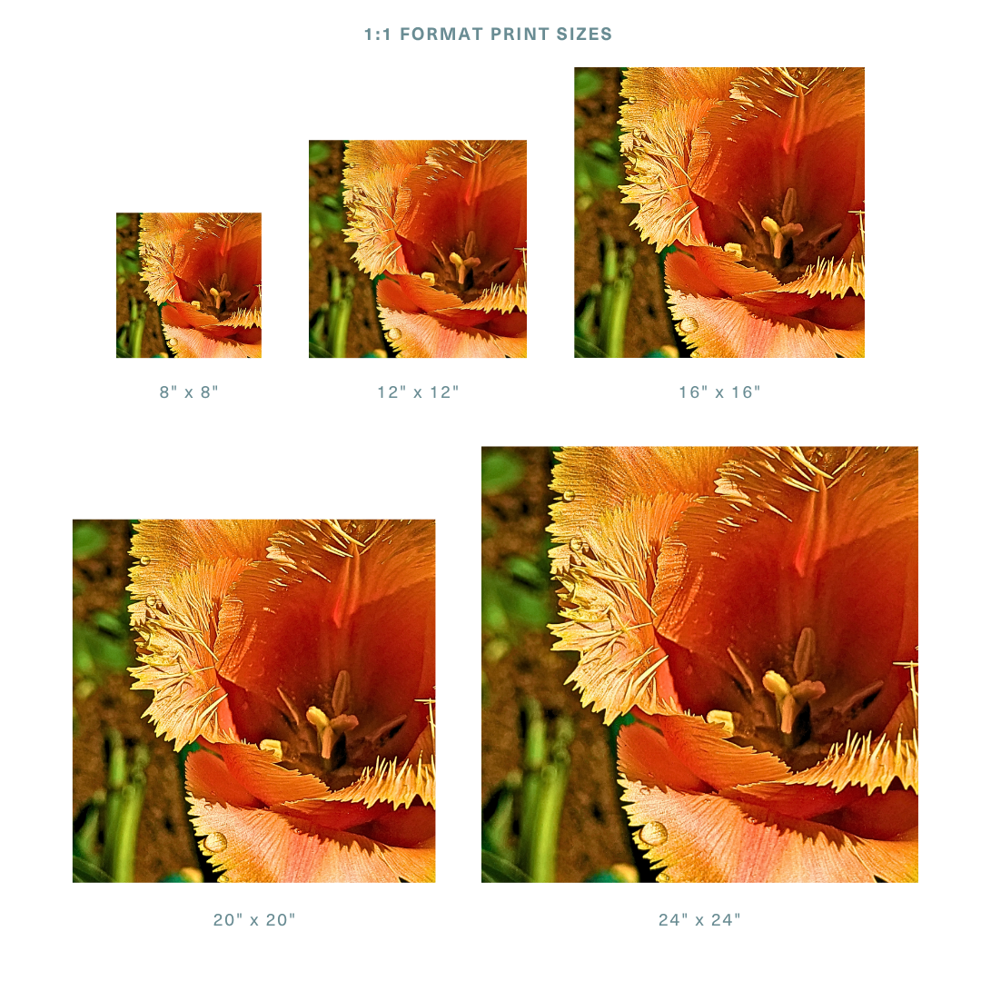 Formats 1.png