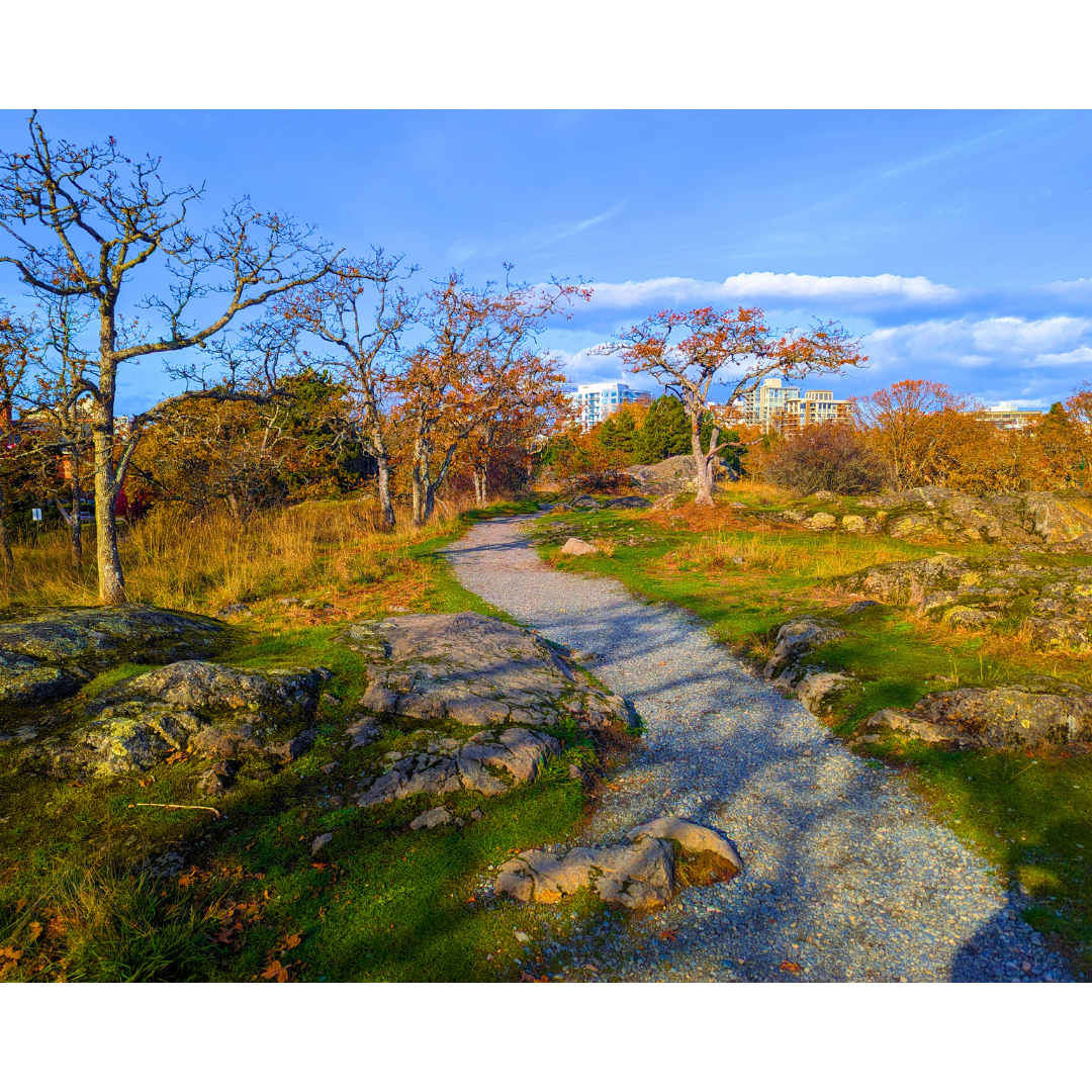 Autumn Trail on Highrock