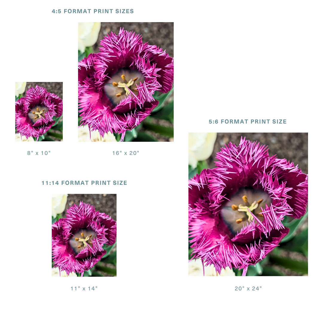 13.png