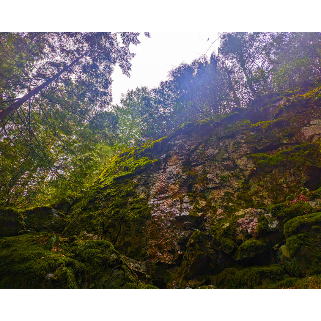 Sentinel Rock of the Rainforest
