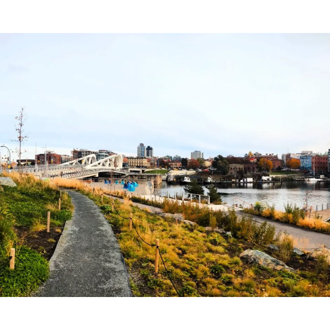 Urban Waterfront Vista