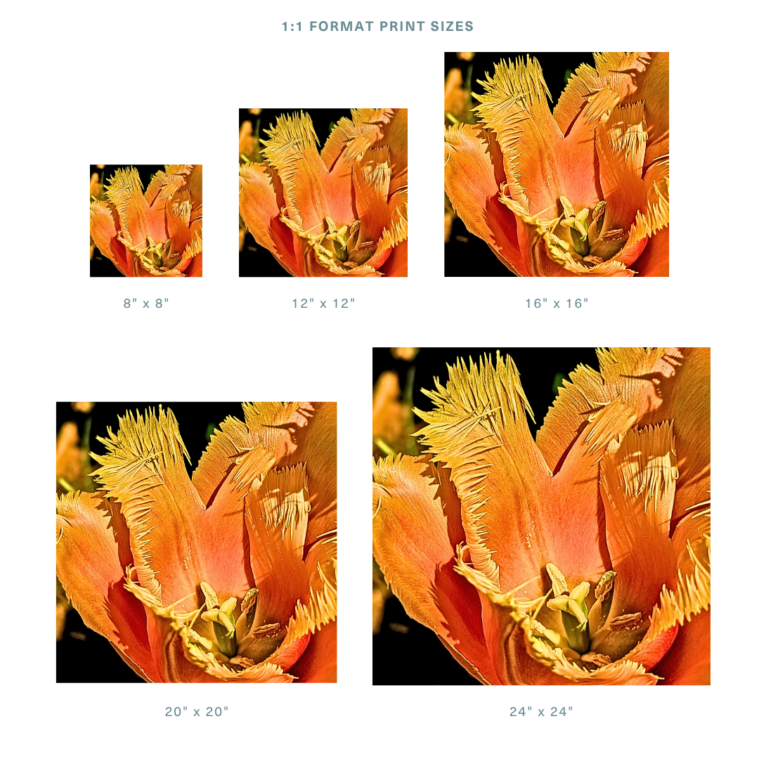 Formats 1.png