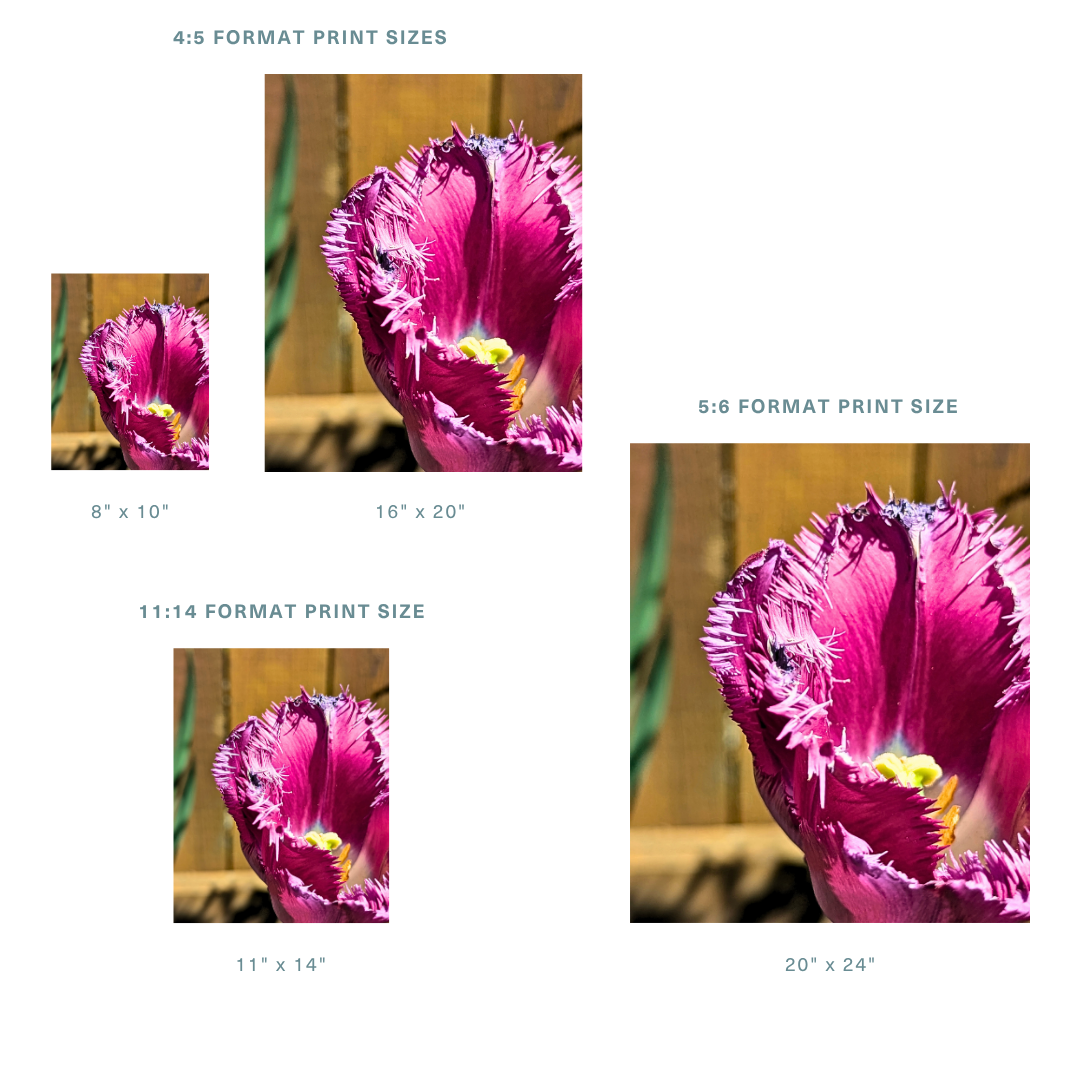 13.png
