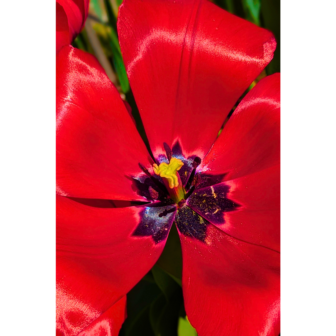 2_3 Store (2).png