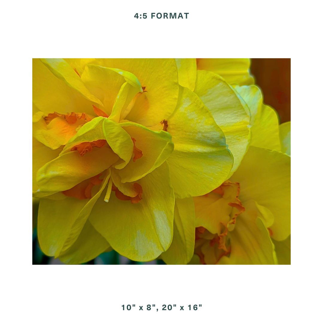 5_4 Store.png