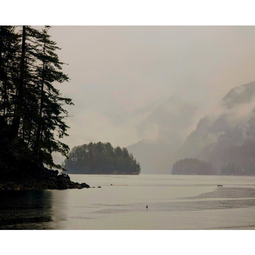 Still Waters and Coastal Fog