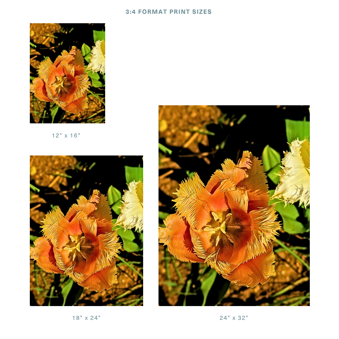 Formats 2.png