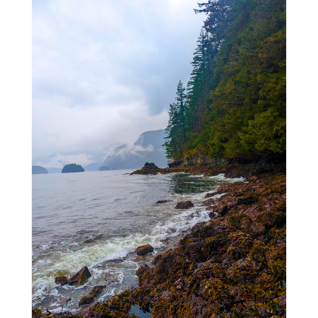 Sea Mist on the Sound