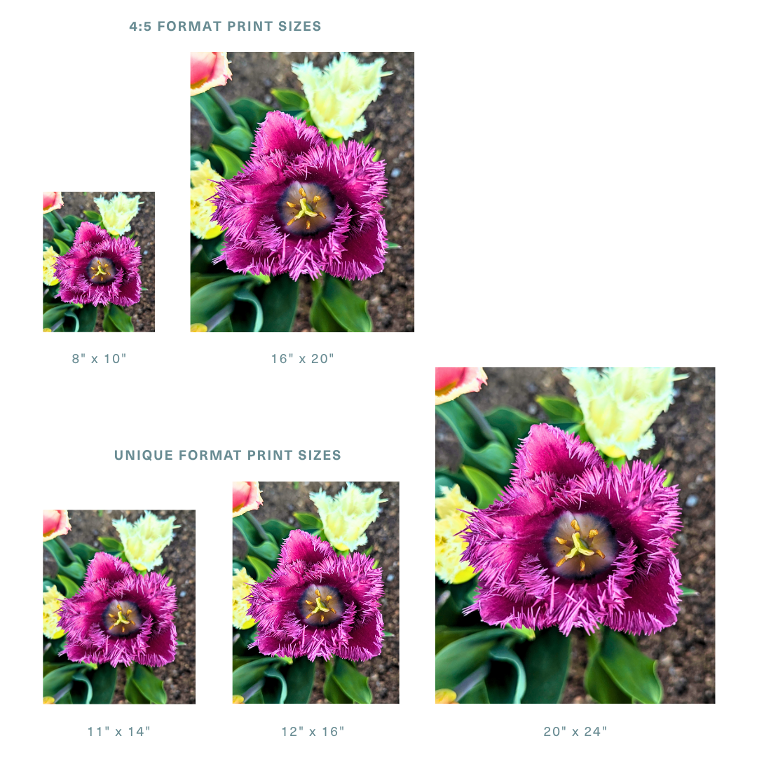 14.png (Copy)