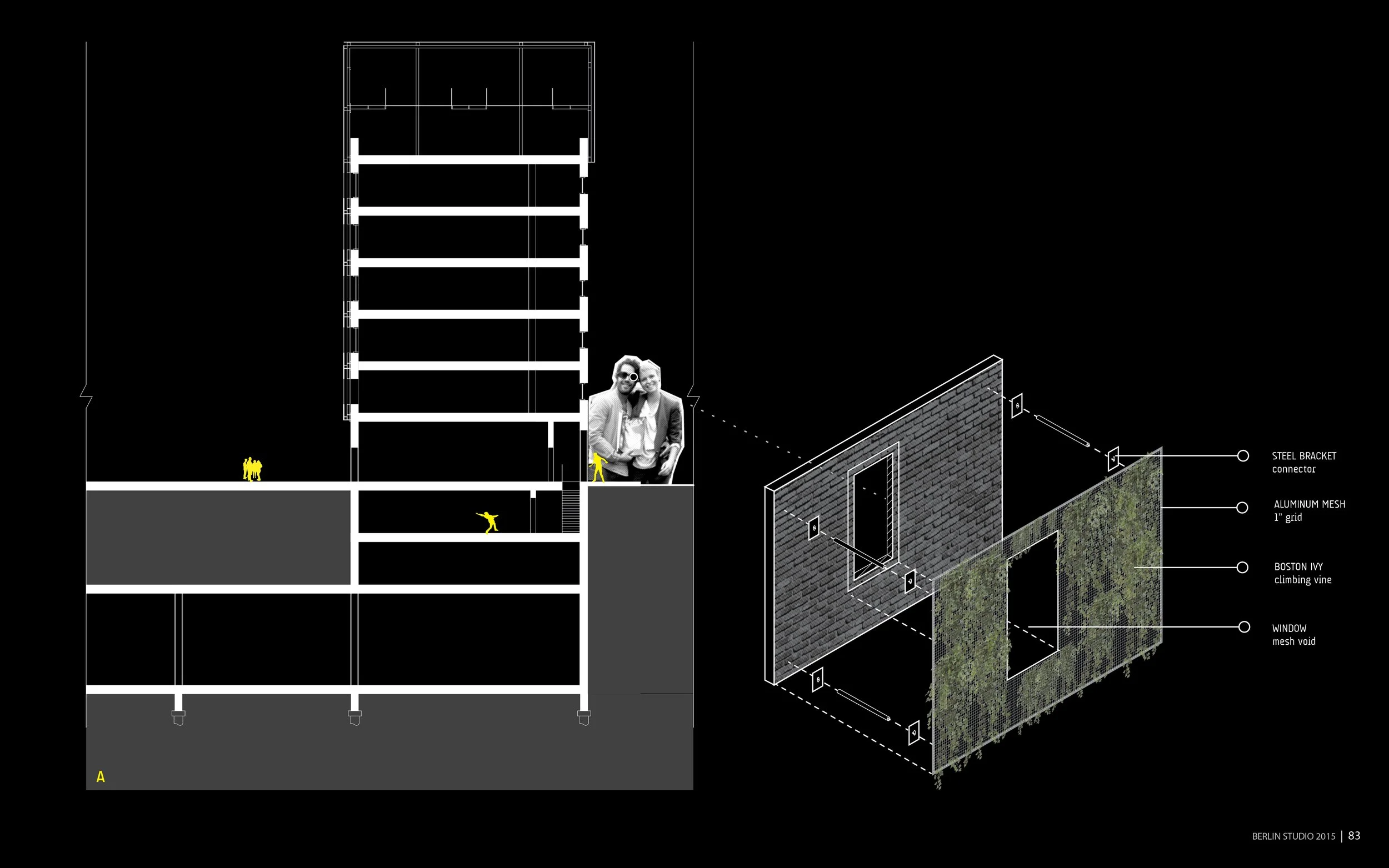 Architectural blueprint showing side view of a building with annotations for structural elements, including steel brackets, aluminum mesh, ivy climbing vine, and window mesh.