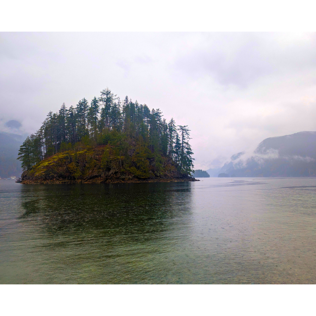 The Solitary Islet