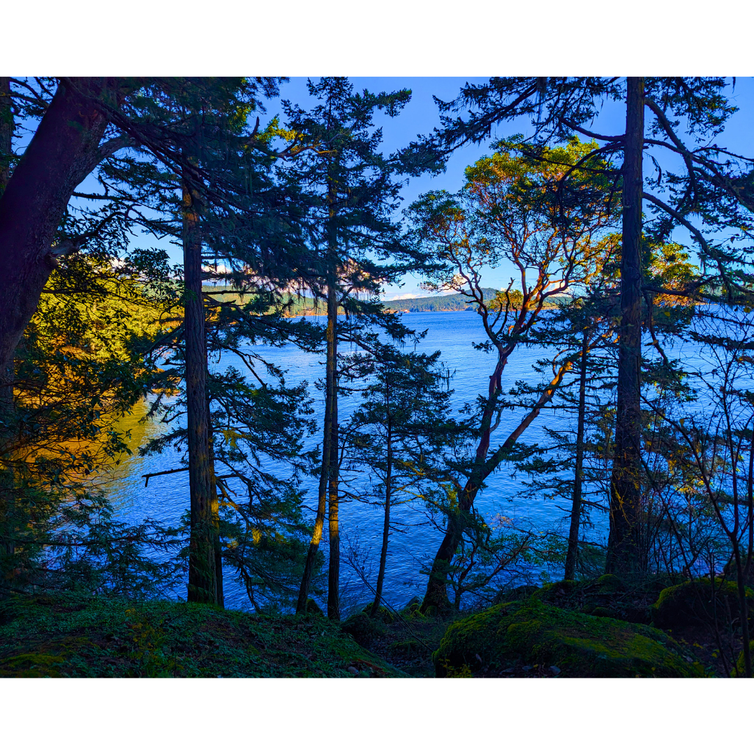 Window to the Strait