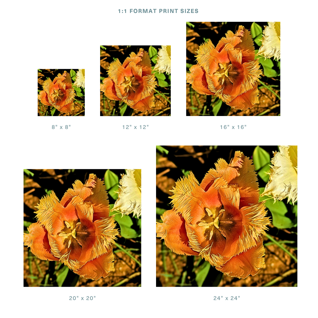 Formats 1.png