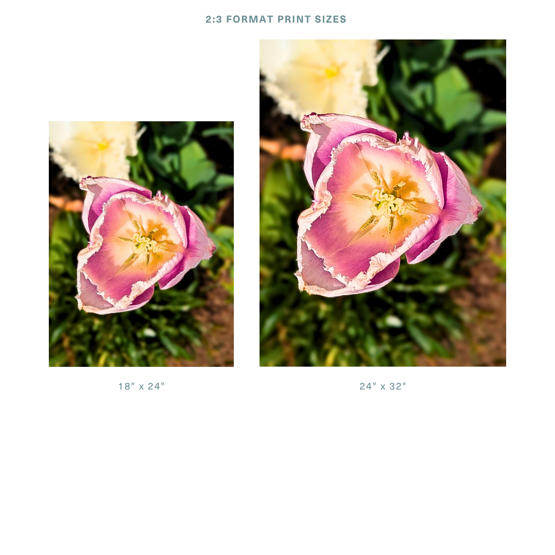 2_3 Store (2).png