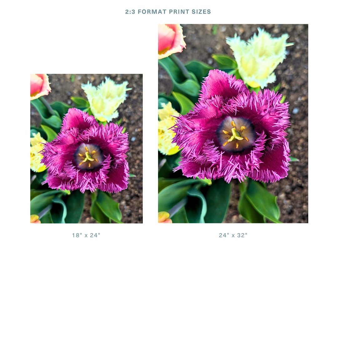 15.png (Copy)