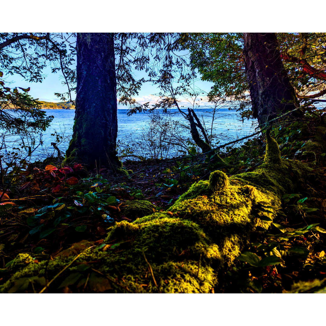 Window to the Strait