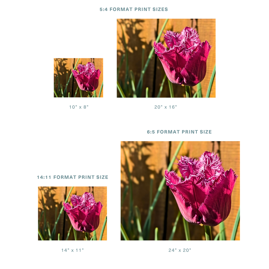 13.png