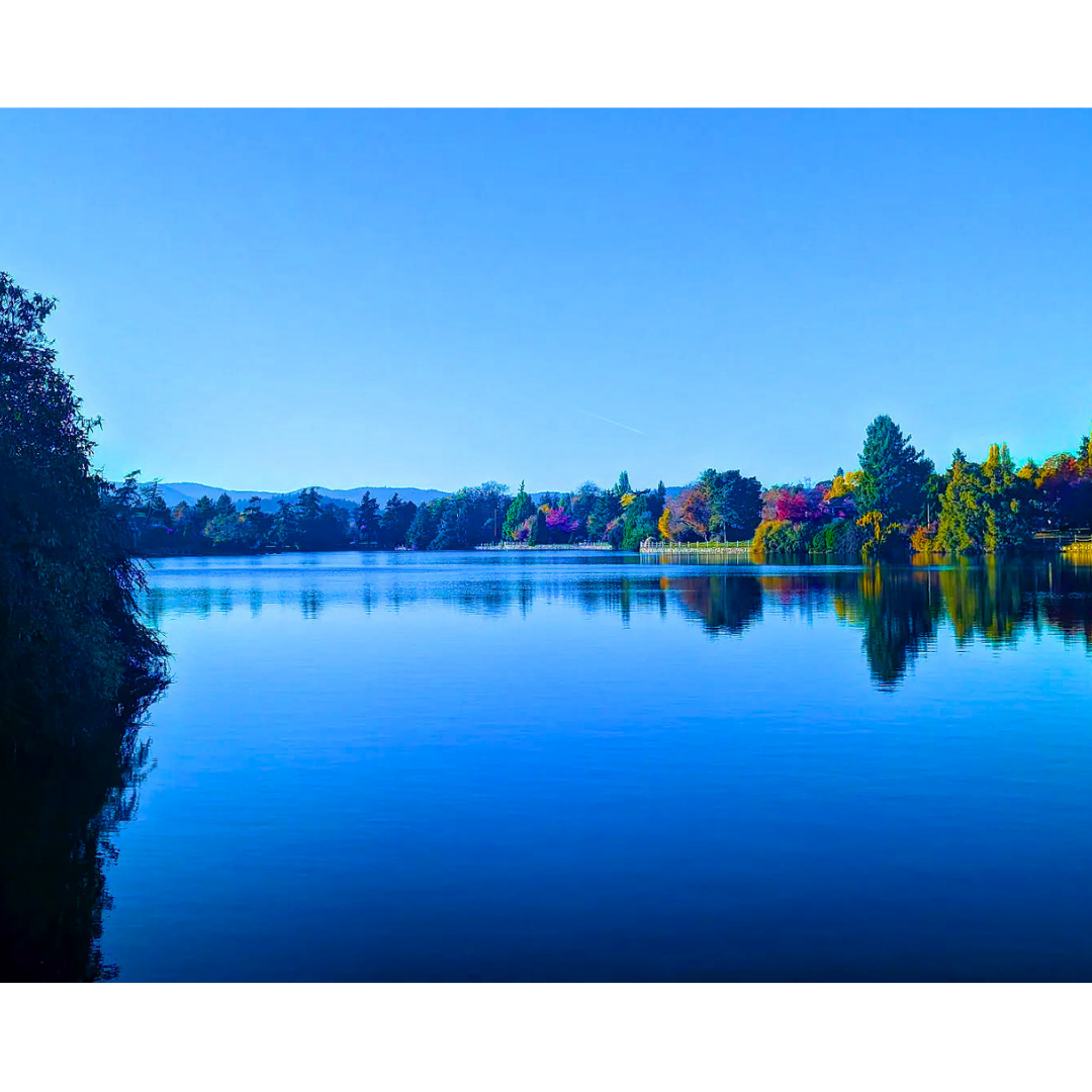 Azure Calm on the Gorge