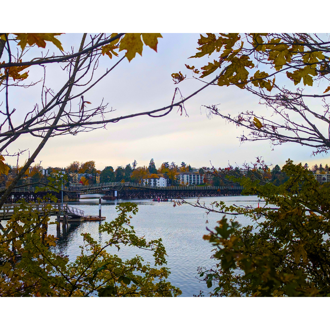 Trestle over the Waterway