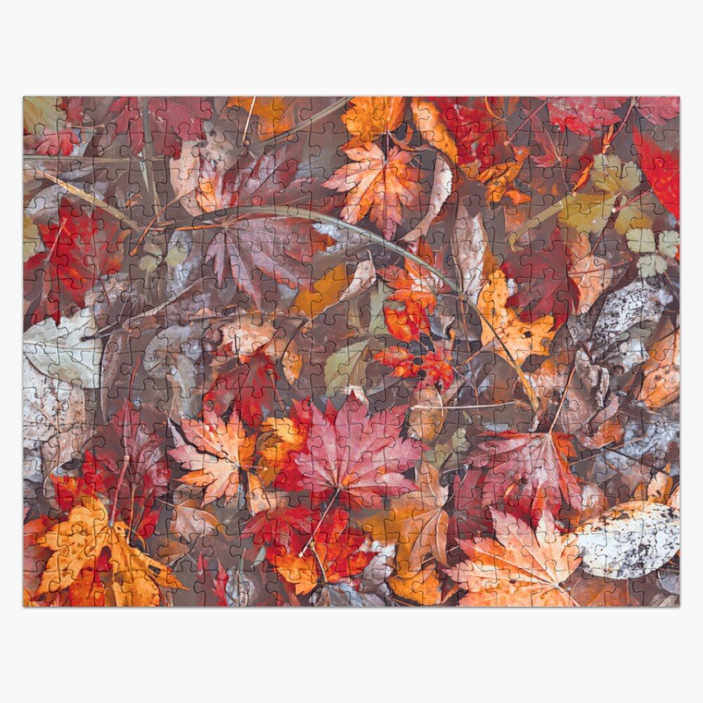 work-183534317-jigsaw-puzzle.jpg