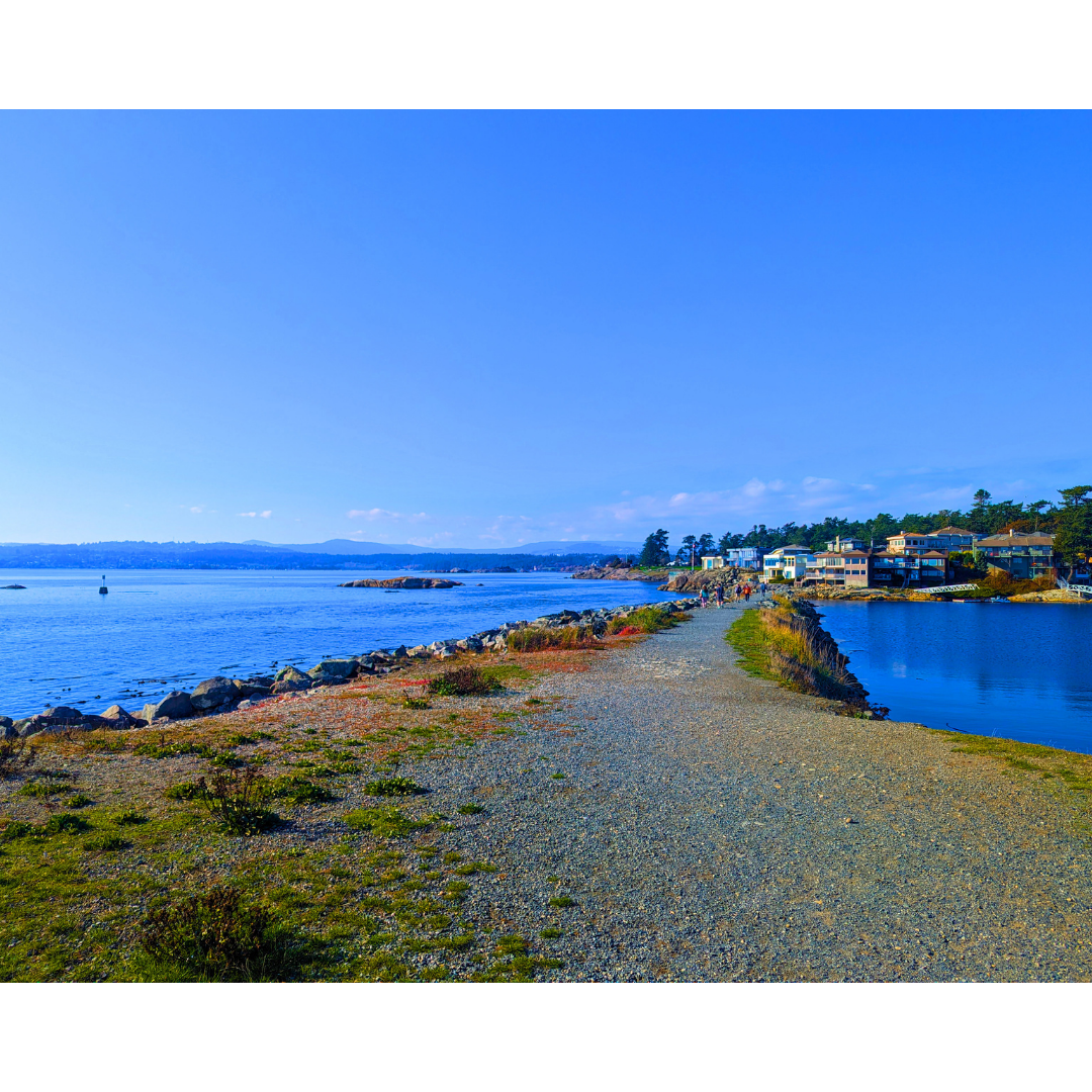 Path Between the Waters