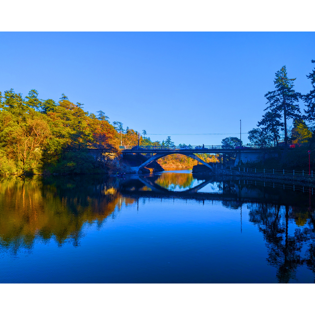 Symmetry on the Inlet
