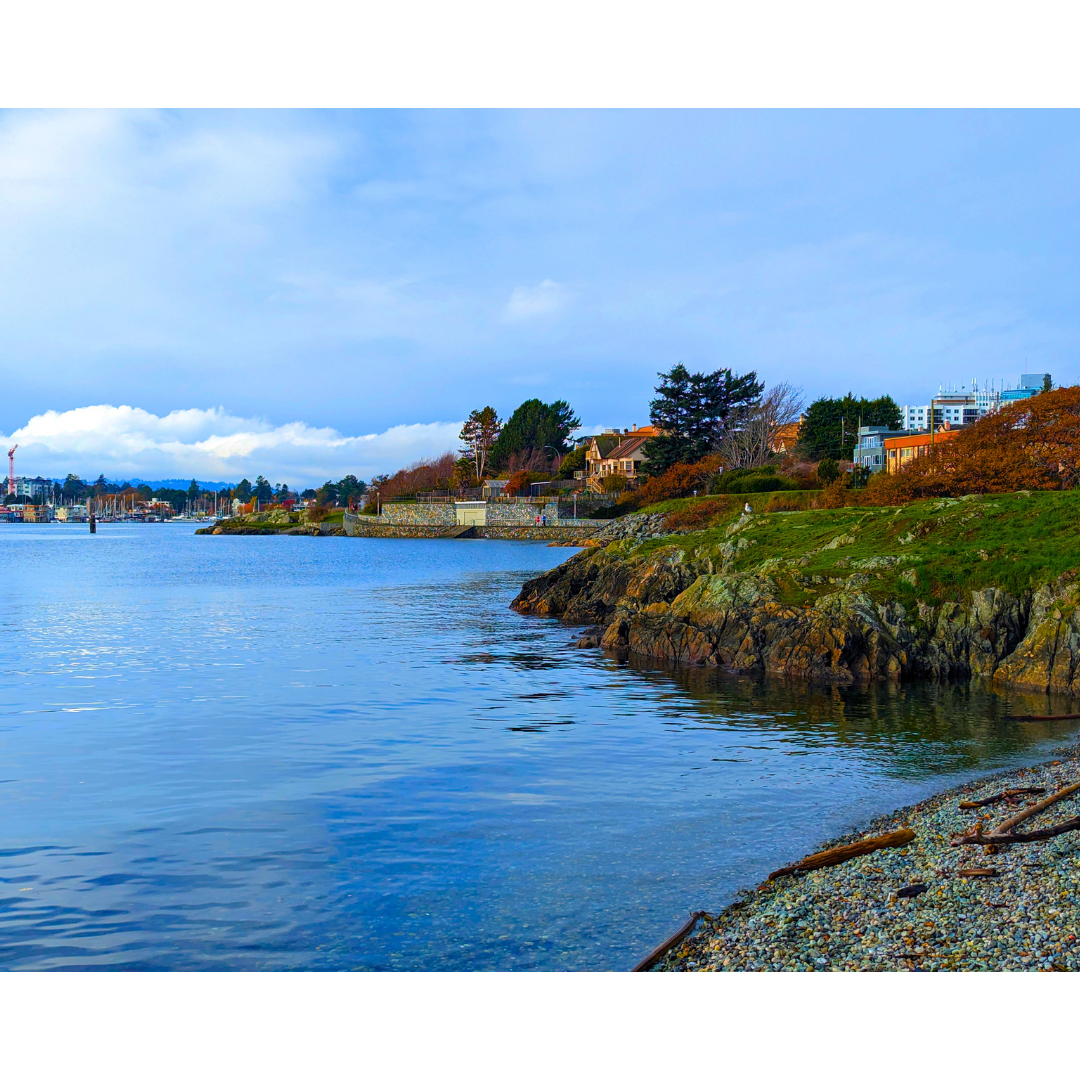 Along the Rocky Cove