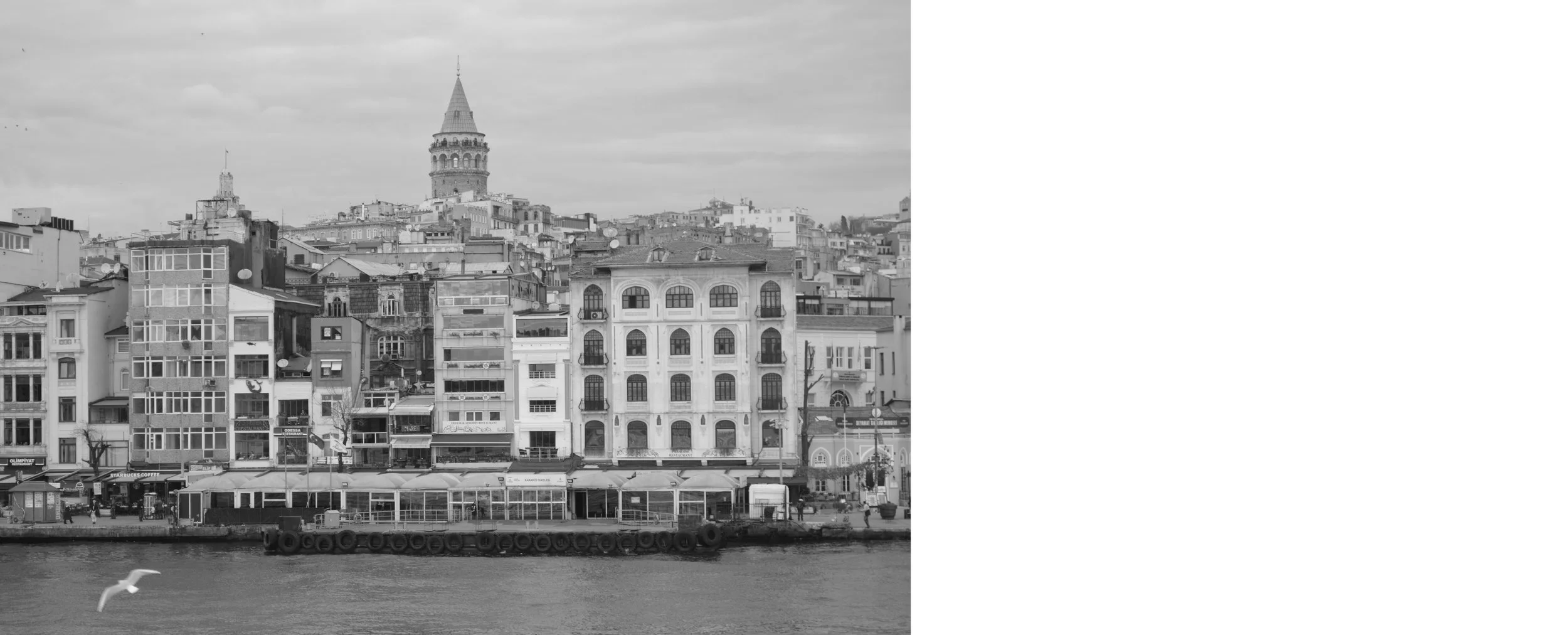 A cityscape view of buildings along a waterfront, with the Galata Tower in Istanbul, Turkey, visible in the background. The image is in black and white.