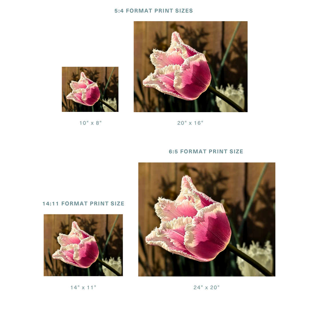 13.png