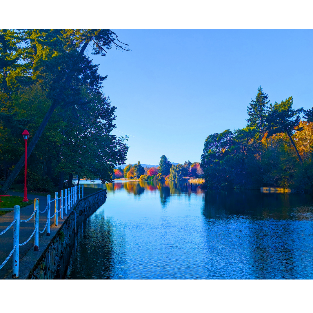 Reflections along the Promenade