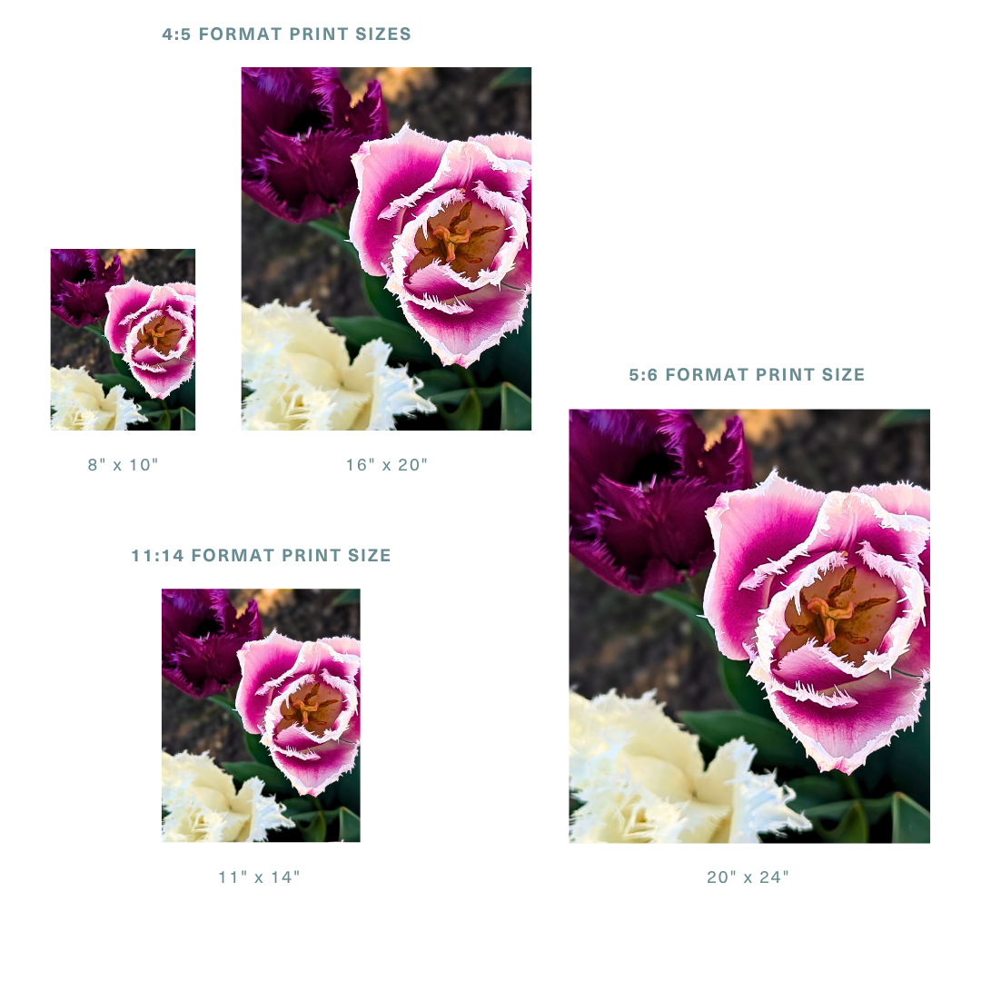 Store Other.png