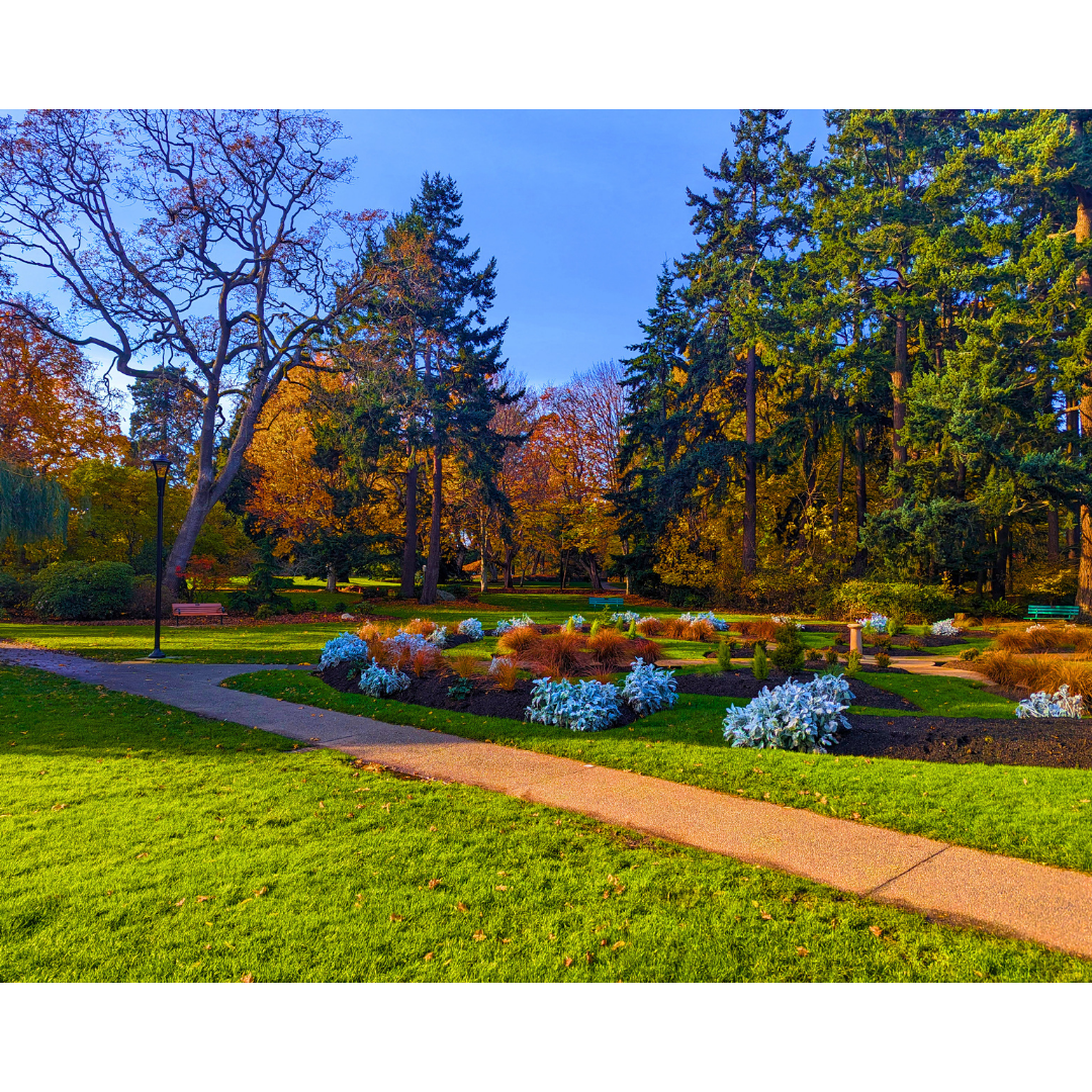 Autumn Promenade in the Gardens