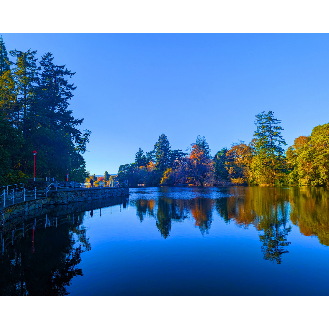 Mirror on the Promenade