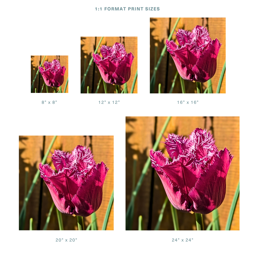 Formats 1.png