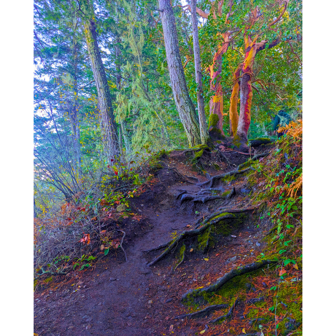 Roots of the Coastal Ridge