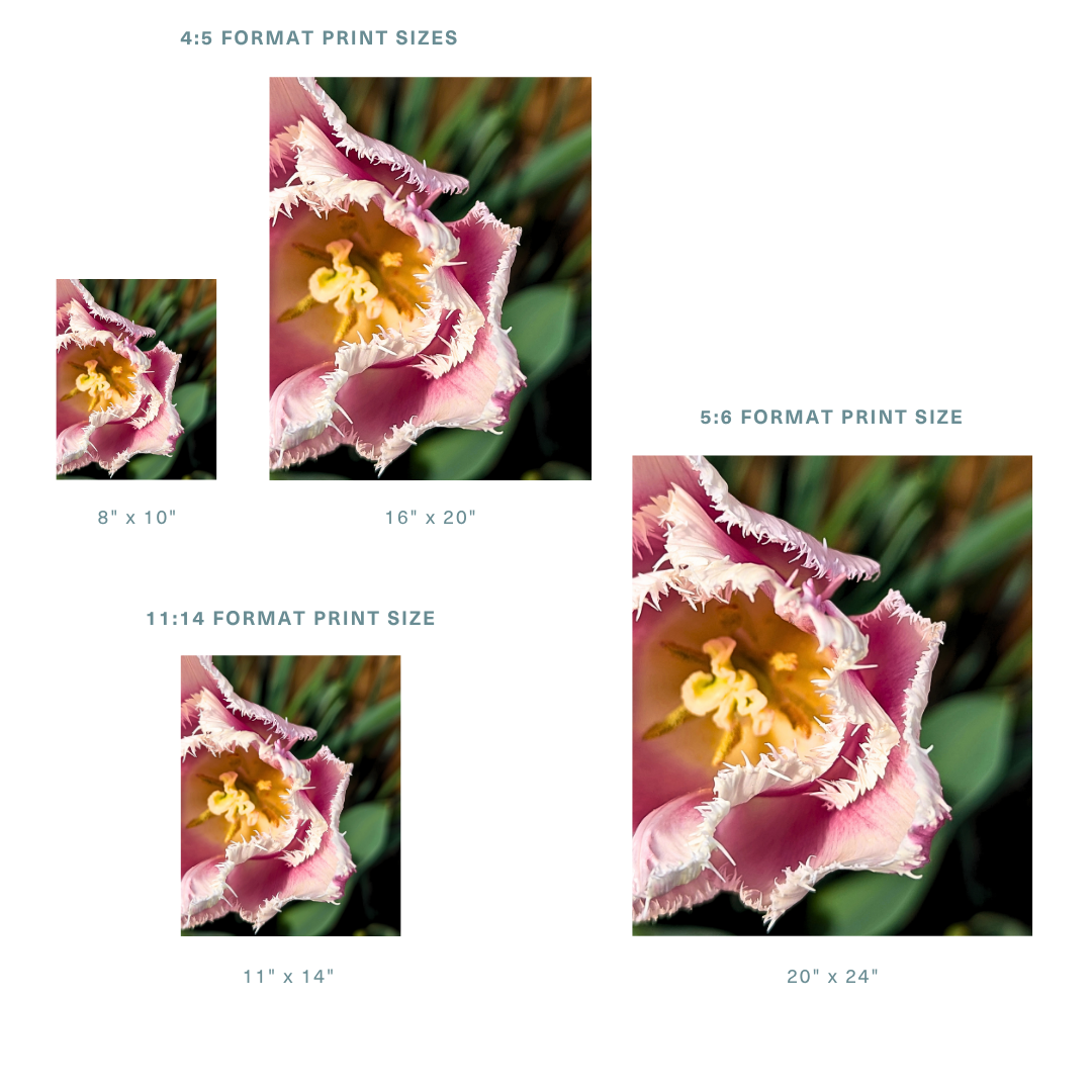 Store Other.png